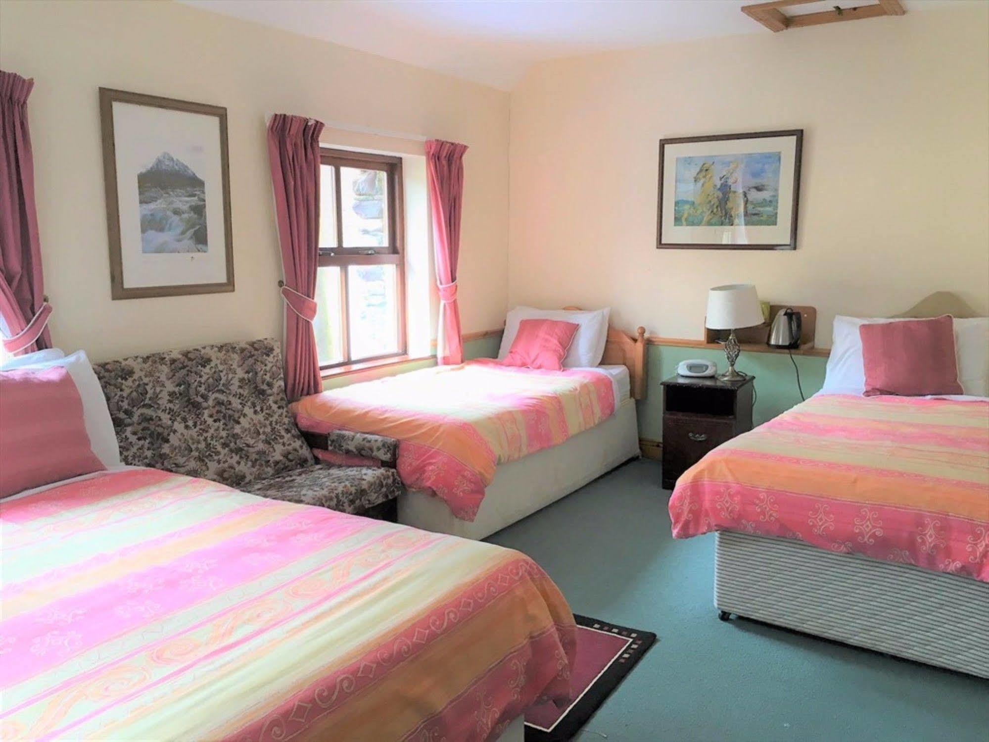 דינגל O'Connor'S Guest House מראה חיצוני תמונה